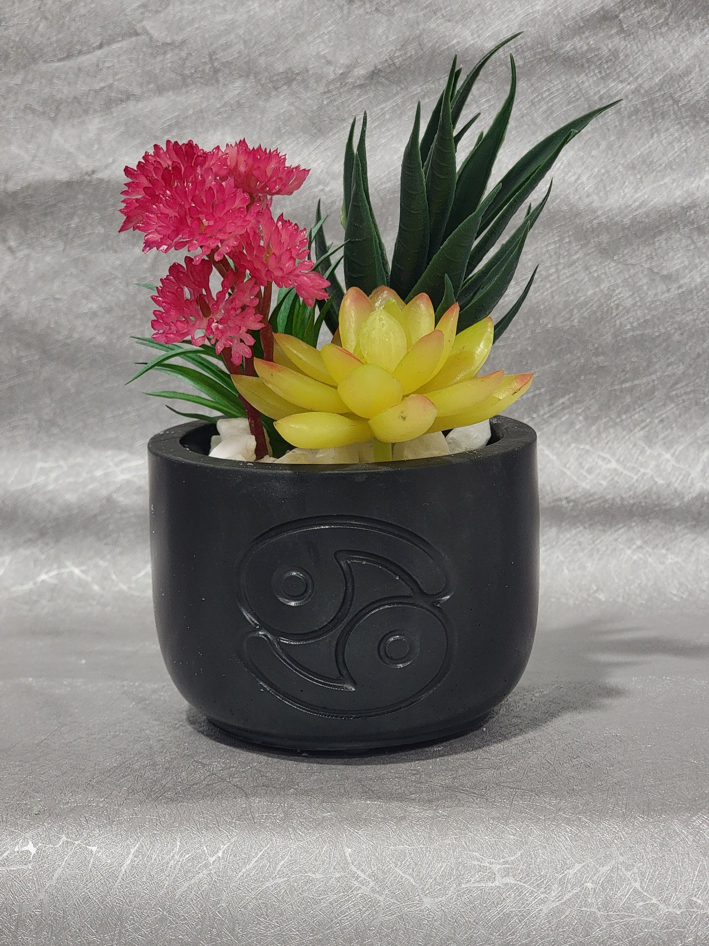 Cancer Planter
