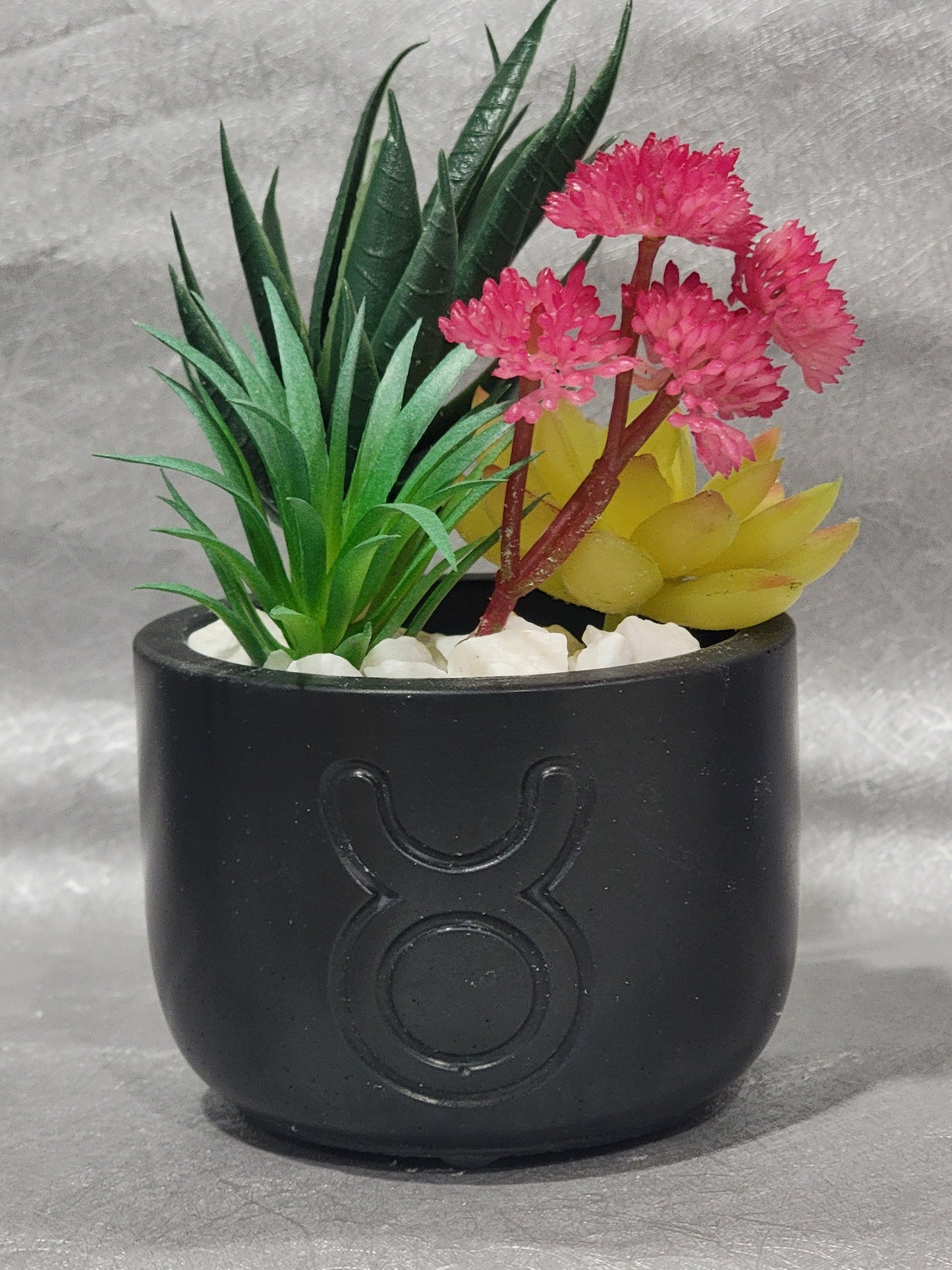 Taurus Planter