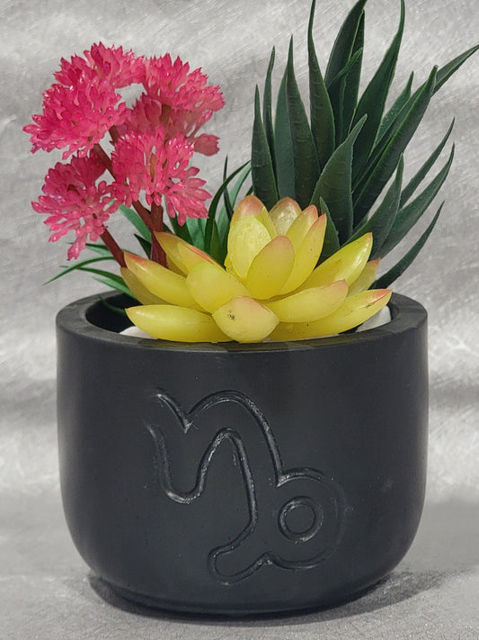 Capricorn Planter