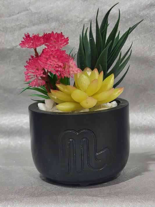 Scorpio  Planter